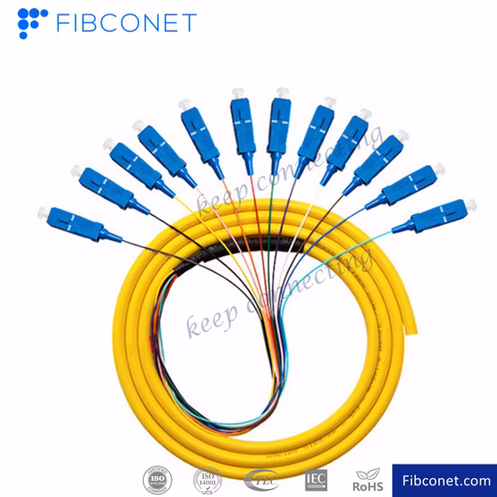 FTTH 12 núcleos Sc APC Upc SM monomodo simplex 0,9 mm Pigtail de fibra óptica con chaqueta de PVC